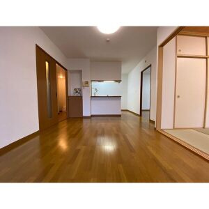 福岡市南区高宮２丁目の賃貸マンションの居間・リビング