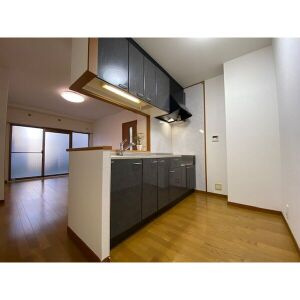 福岡市南区高宮２丁目の賃貸マンションのキッチン