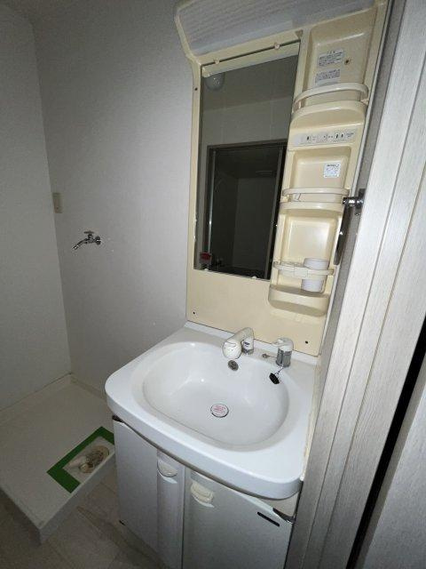 フェリスカーザの洗面所