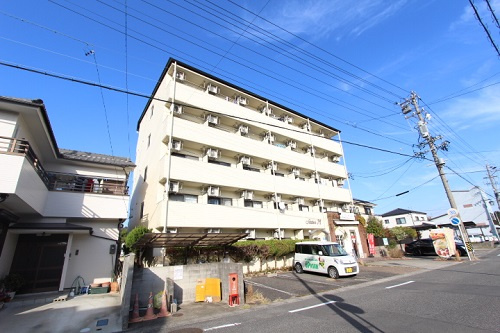 ステイツM