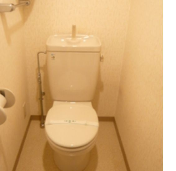 ライオンズガーデン町屋のトイレ|落ち着いたトイレです
