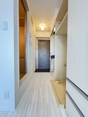 アルビヨン錦のその他