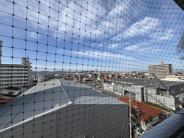 アルビヨン錦の展望