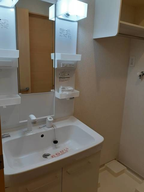 メゾン　ビオーラの洗面所