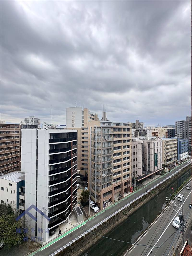 ライオンズマンション南薬院の展望