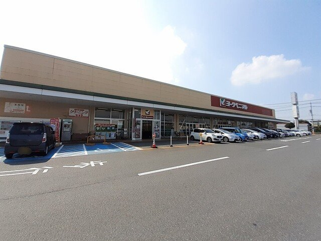 クリザンテーム　Ⅰの周辺|ヨークベニマル谷田部店まで3000m