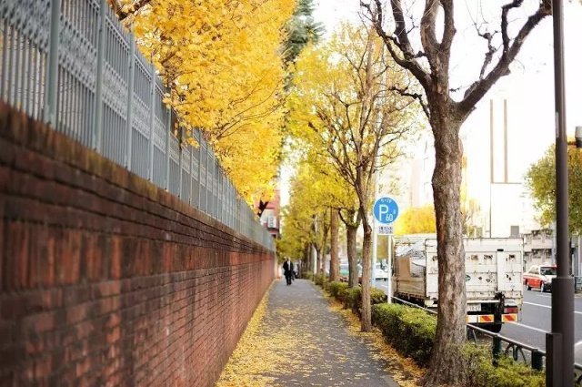 61 PAL高田馬場2のその他