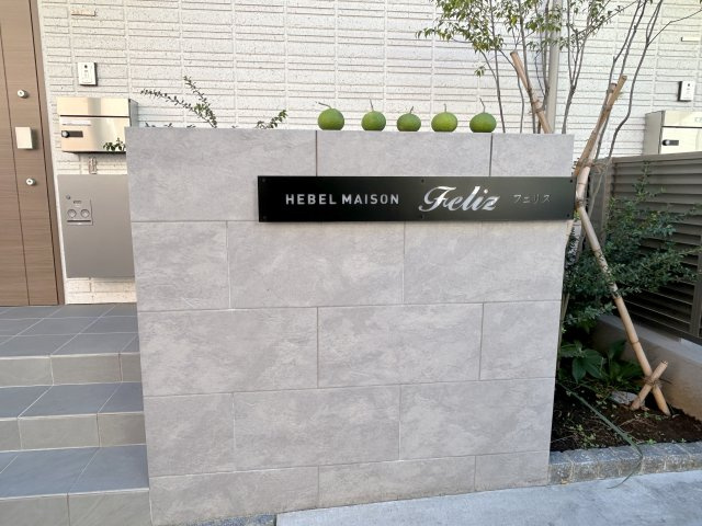 ＨＥＢＥＬ　ＭＡＩＳＯＮ　Ｆｅｌｉｚのその他