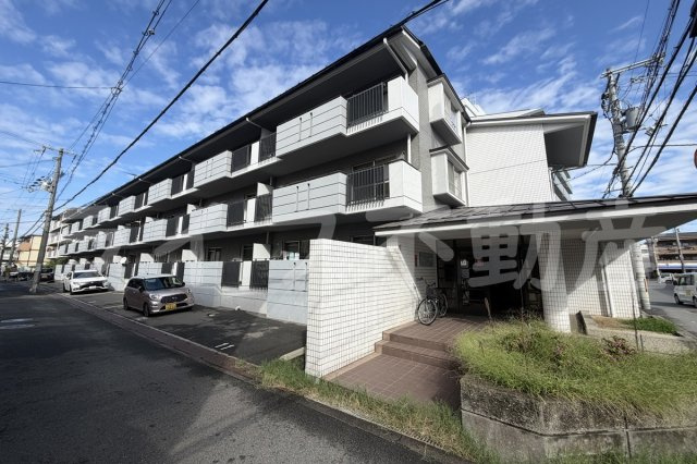 ウェルシーハイム川本の外観|外観も気になるポイント