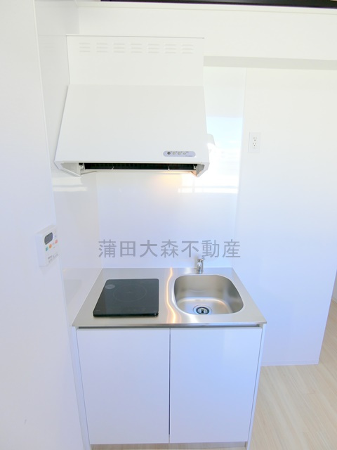 COCOCUBE武蔵新田のキッチン|2口IHシステムキッチン