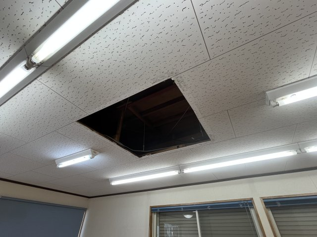 さんさんなかもず