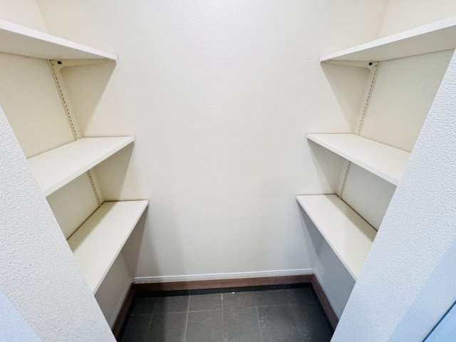 柏市藤心１丁目新築戸建の玄関|玄関ホール横・シューズインクローク