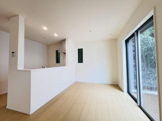 柏市藤心１丁目新築戸建の居間・リビング|17.12帖リビングダイニングキッチン