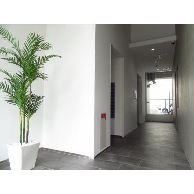 ＣＯＲＮＥＳ　ＨＯＵＳＥ　ＮＡＧＯＹＡのエントランス|落ち着いたエントランスです