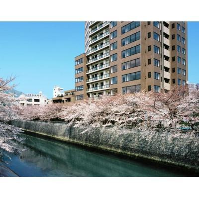 ＭＦＰＲ目黒タワーのその他