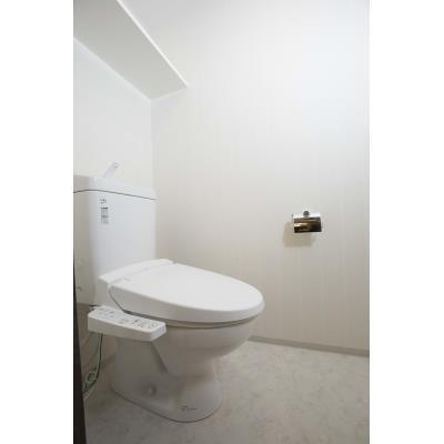 パークアクシス名駅南グランデのトイレ|落ち着いた色調のトイレです
