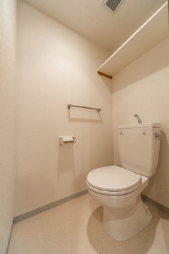 レジアス新横浜のトイレ|落ち着いた色調のトイレです