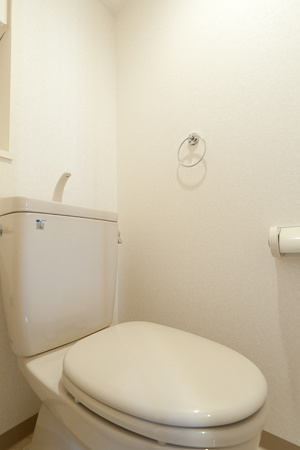 東府中パーク・ホームズのトイレ|落ち着いた色調のトイレです