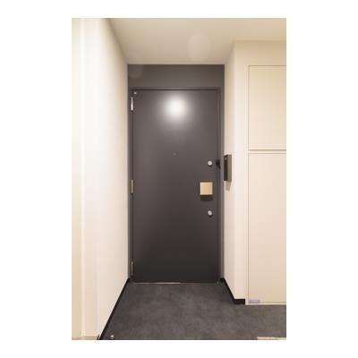 パークアクシス御茶ノ水の玄関|※写真は同タイプ住戸です。