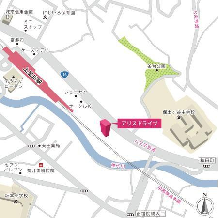 アリスドライブの地図