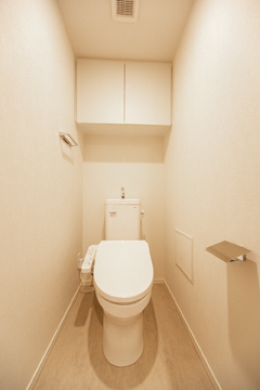 パークアクシス横浜阪東橋のトイレ|落ち着いた色調のトイレです