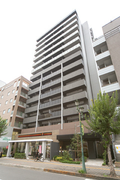 パークアクシス柏の外観|外観です