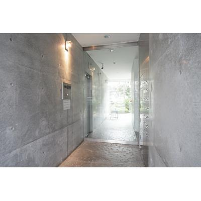 Ｇｒａｔｉｃｃｉｏのその他
