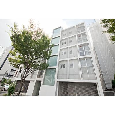 Ｇｒａｔｉｃｃｉｏのその他
