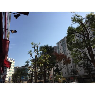 野田屋ビルのその他