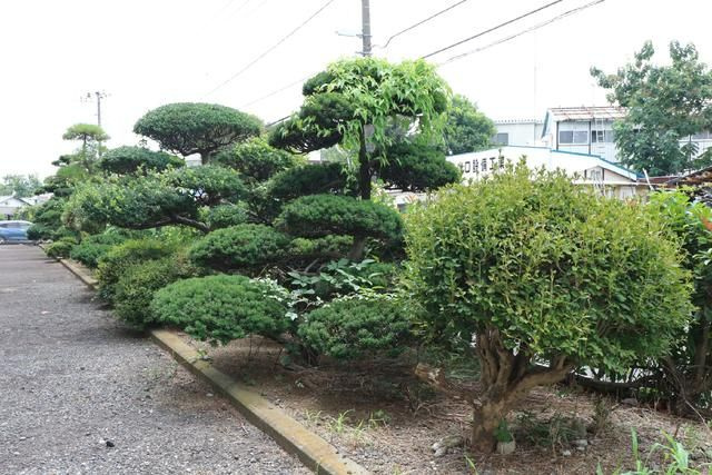 パストラル山口のその他