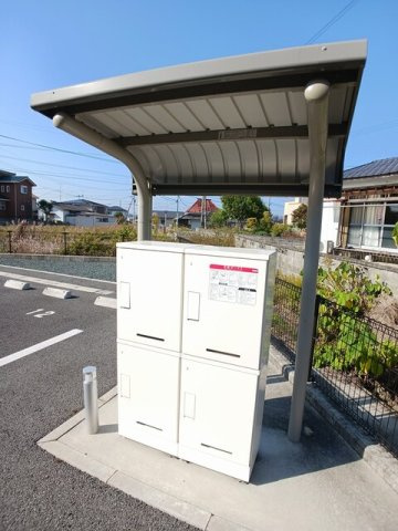 ジプソフィルのその他