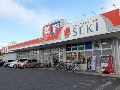 ハイム　フォレストⅡの周辺|ドラッグストアセキまで1100m