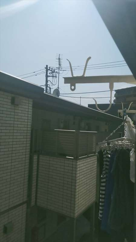 エステルハウスのその他