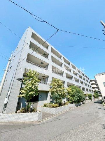 エコタワーバオバブの外観