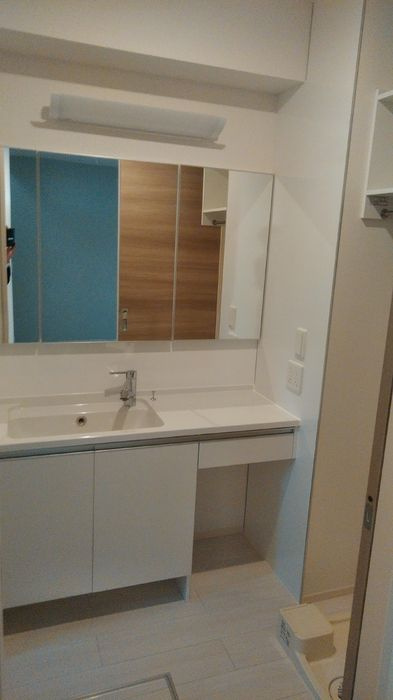 D-room博多諸岡　A棟の洗面所