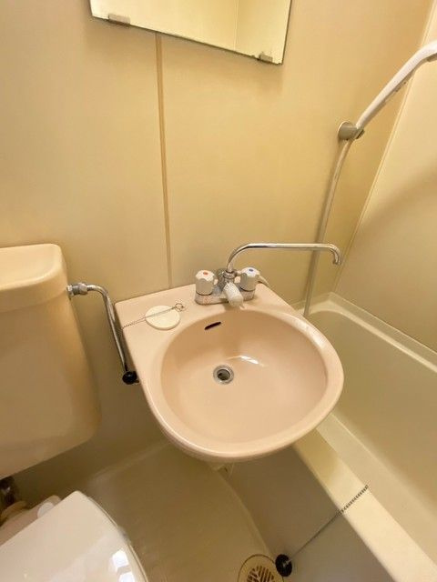 グリーンビレッジ武蔵浦和の洗面所