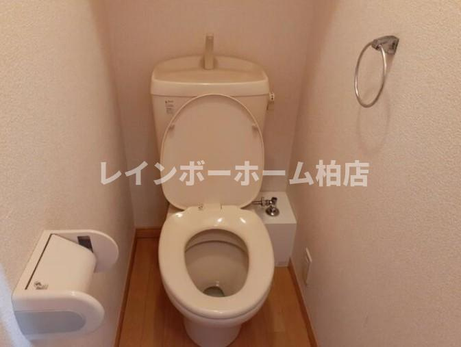 特典：仲介手数料が50％OFFです‼のトイレ