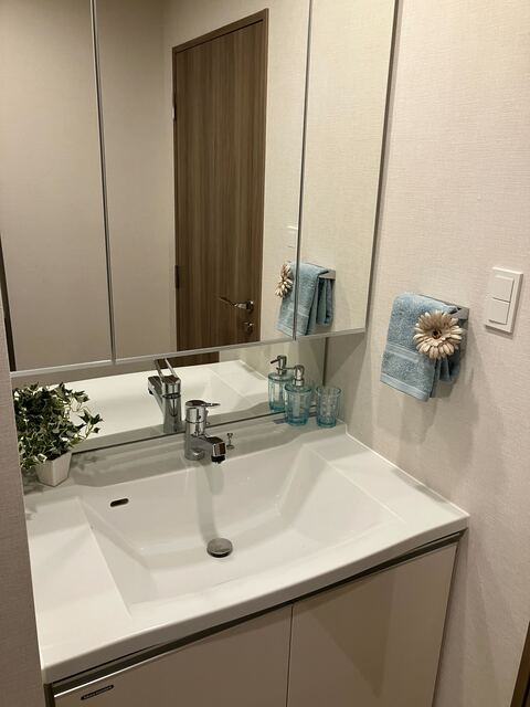 ワンルーフレジデンス板橋大山の洗面所|※写真は同タイプ住戸です。