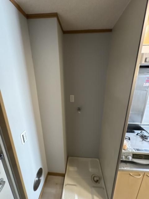 オヤマハイネスのその他