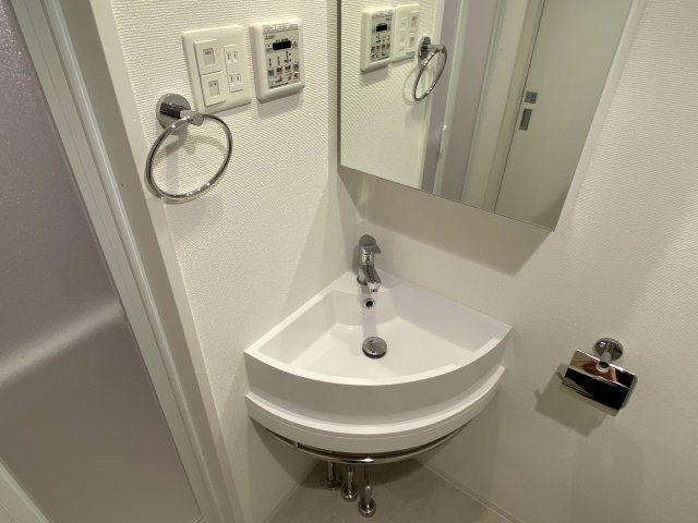 セレニテ神戸元町クレアの洗面所