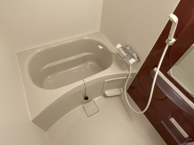 セレニテ神戸元町クレアの浴室