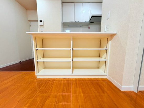 パークアベニューの収納
