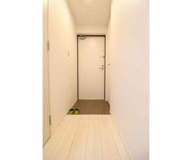 川崎市多摩区登戸の賃貸マンションの玄関