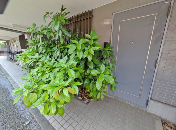 袖ケ浦市蔵波台１丁目のアパートの玄関