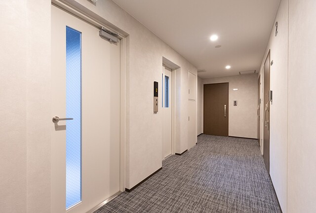 Ｃａｒｔｏｌｅｒｉａのその他