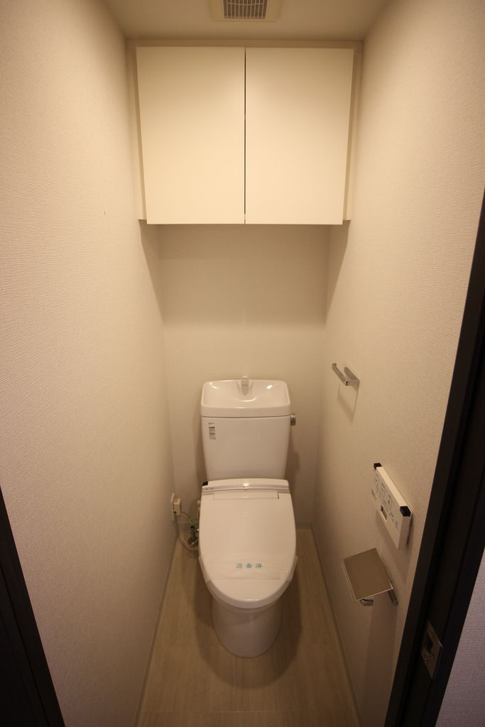 コンシェリア芝公園 ＭＡＳＴＥＲ’Ｓ ＶＩＬＬＡのトイレ|落ち着いた色調のトイレです