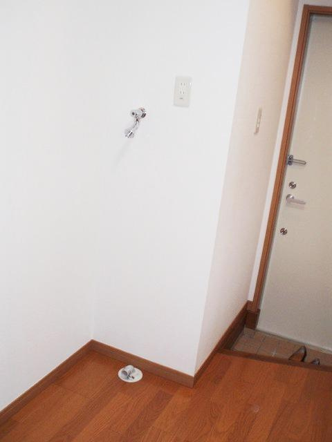 マグノリアステラータマキシマの玄関