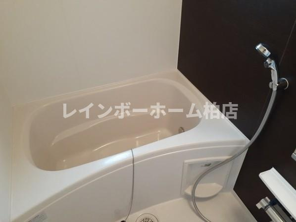 【仲介手数料：50％OFF】対象物件！の浴室|きれいなお風呂です