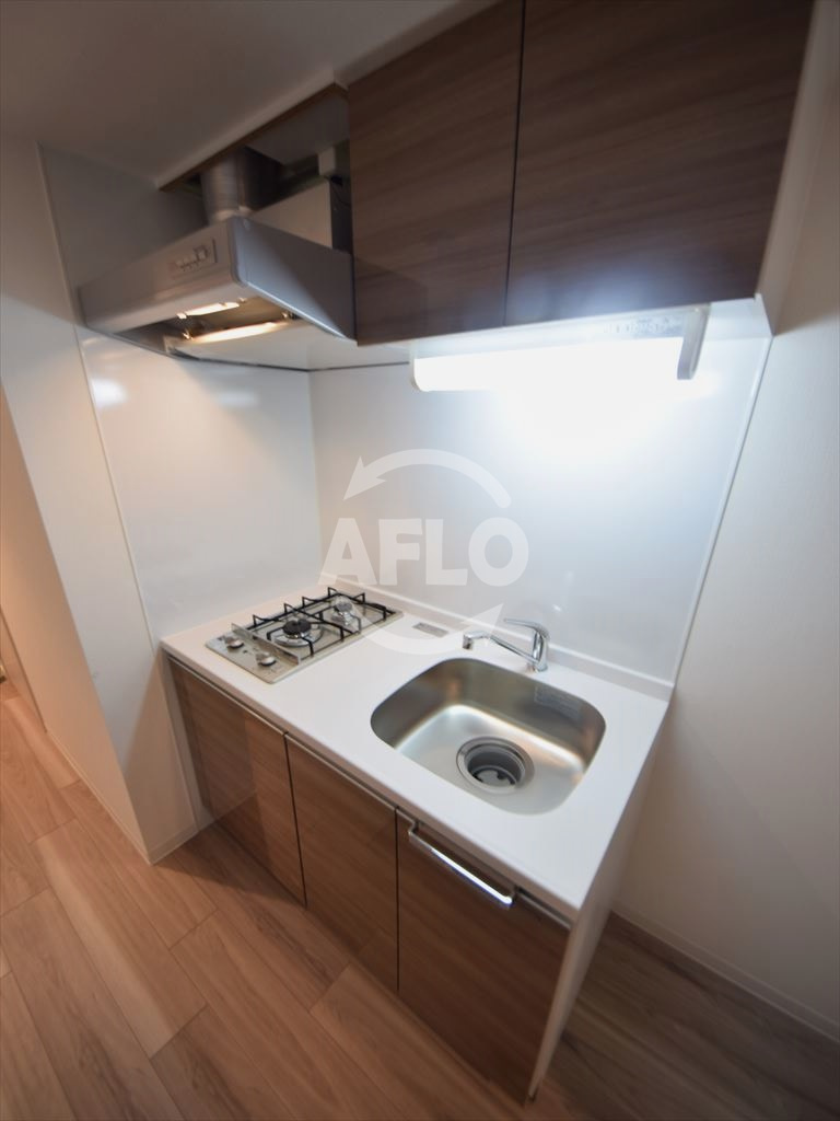 プレサンス立売堀パークシティのキッチン|プレサンス立売堀パークシティ　ガス2口システムキッチン（階数で色の違いあり）