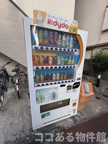 Impressive Sumaのその他